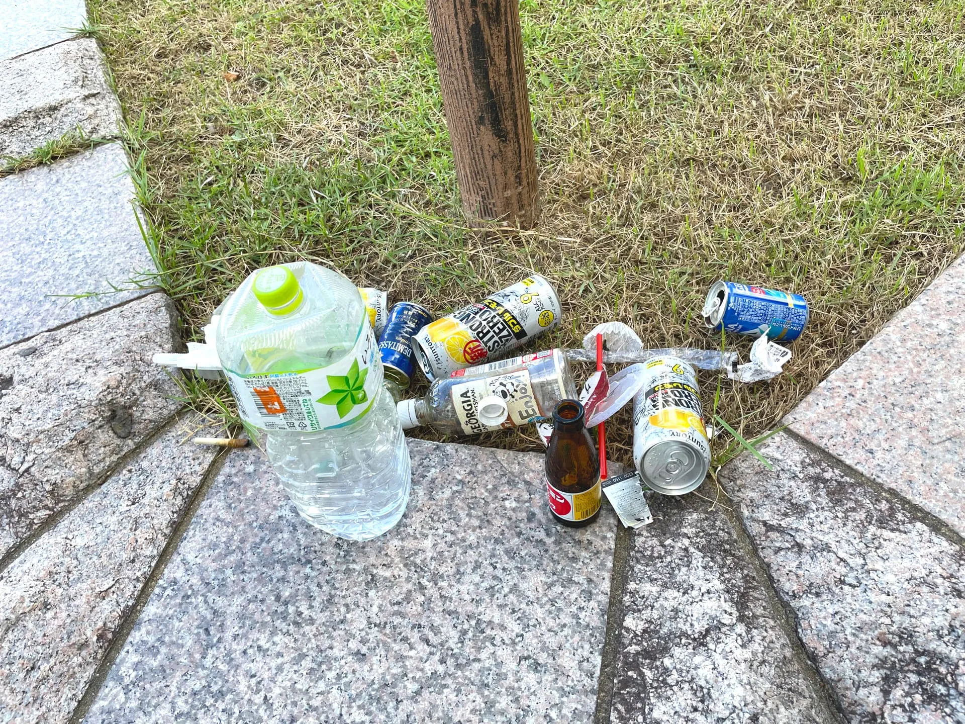 ゴミ拾いボランティア