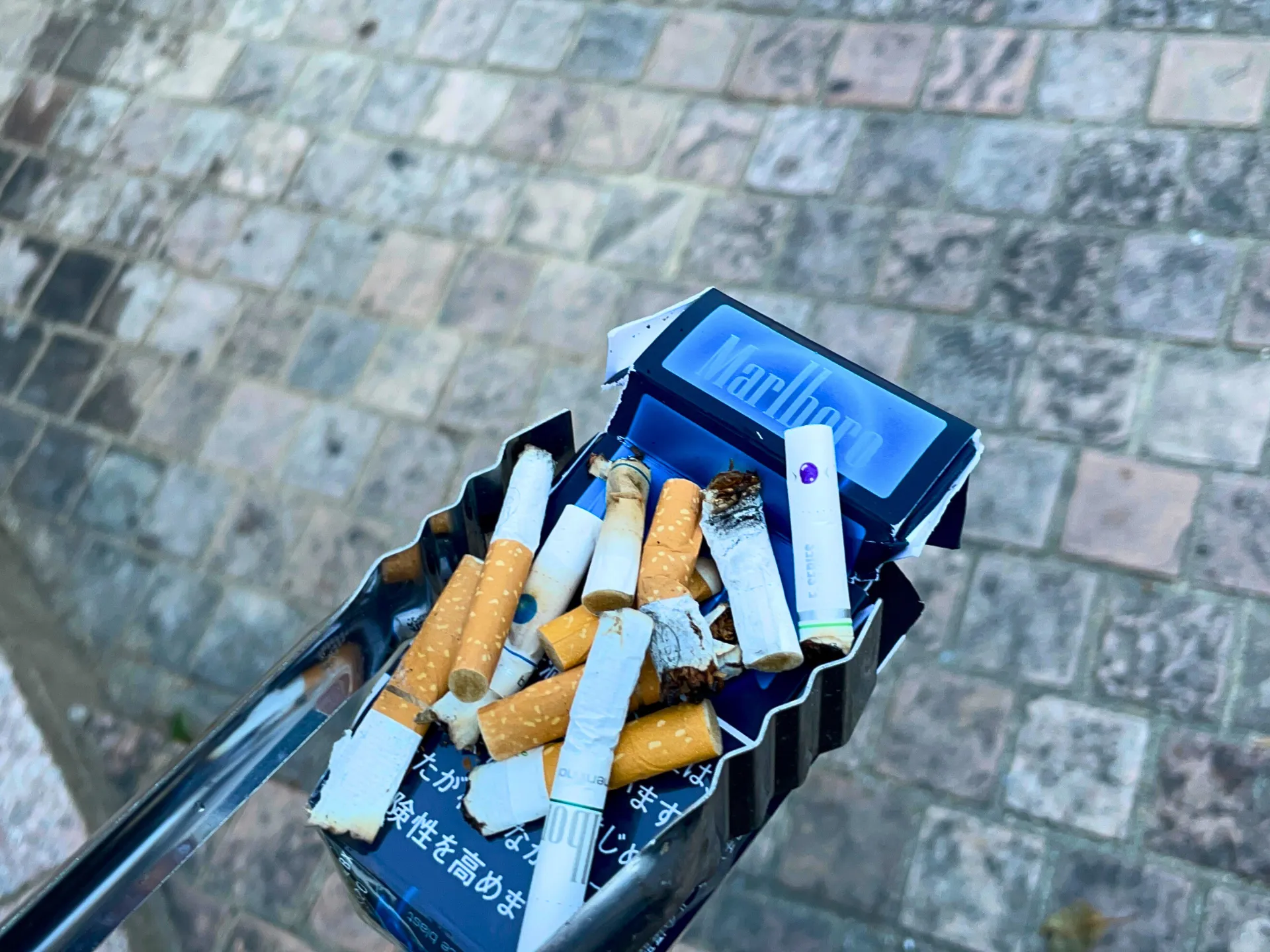 ゴミ拾いボランティア