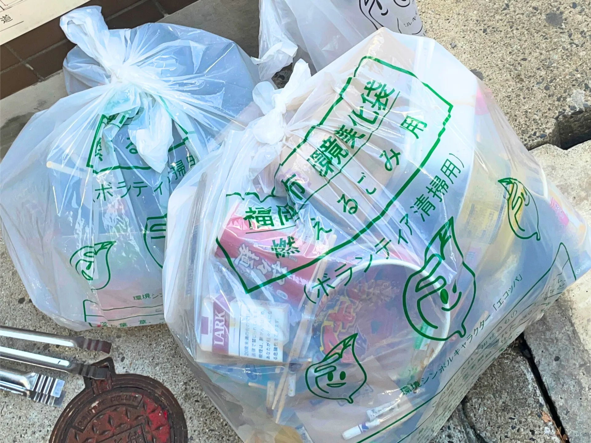 ゴミ拾いボランティア