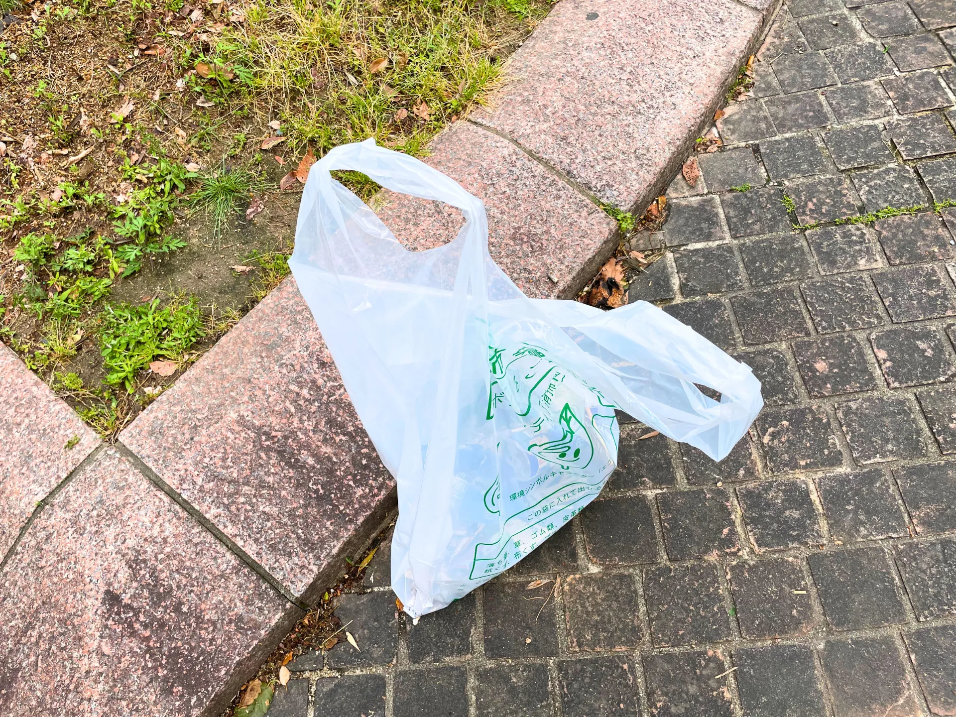 ゴミ拾いボランティア