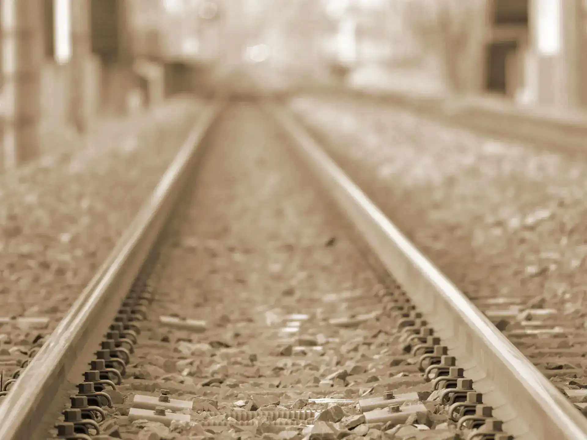 過去の交流イベント