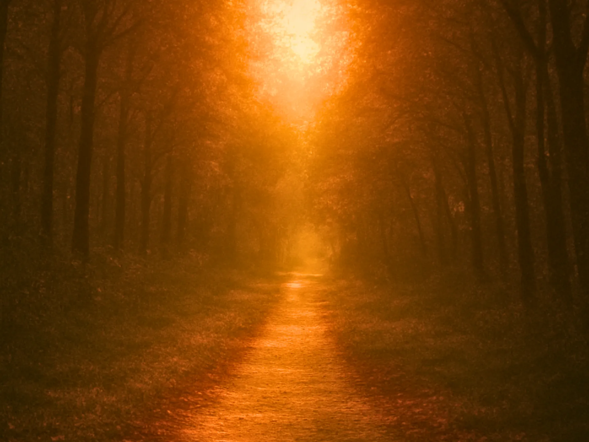 光の道しるべカフェ会