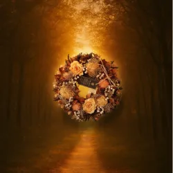 ① 新しい視点との出会い