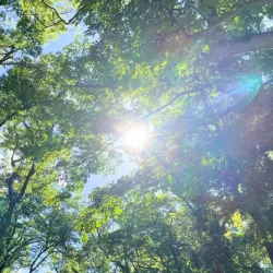 ② 自己理解の深化